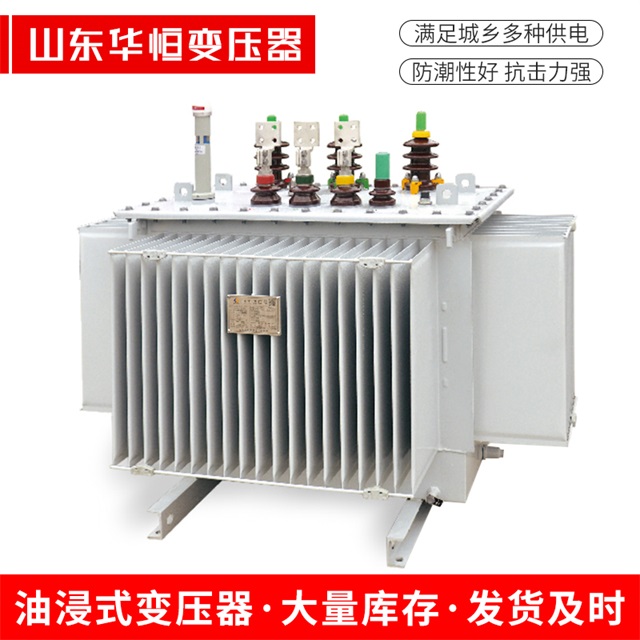 S13-10000/35潜江潜江潜江电力变压器